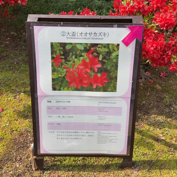 大盃（オオサカズキ）の説明板