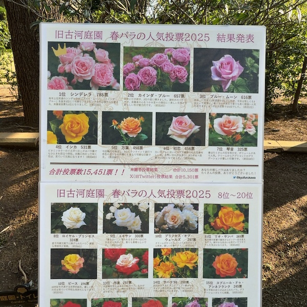 旧古河庭園 春バラ人気投票2025の結果ポスター
